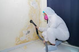 Biohazard Mold Removal in Union Springs, AL